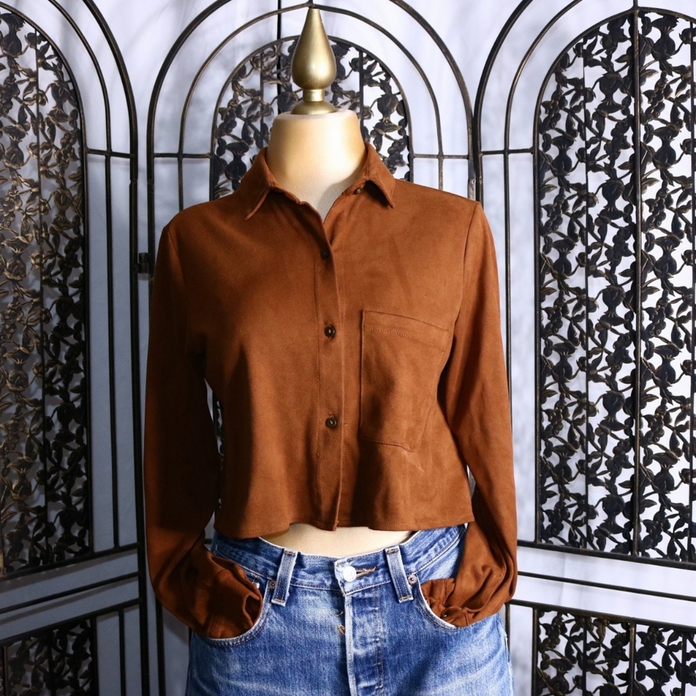 FREE SHIPPING Zara Faux Suede Cropped Button Down Top, Small - Picture 3 of 8